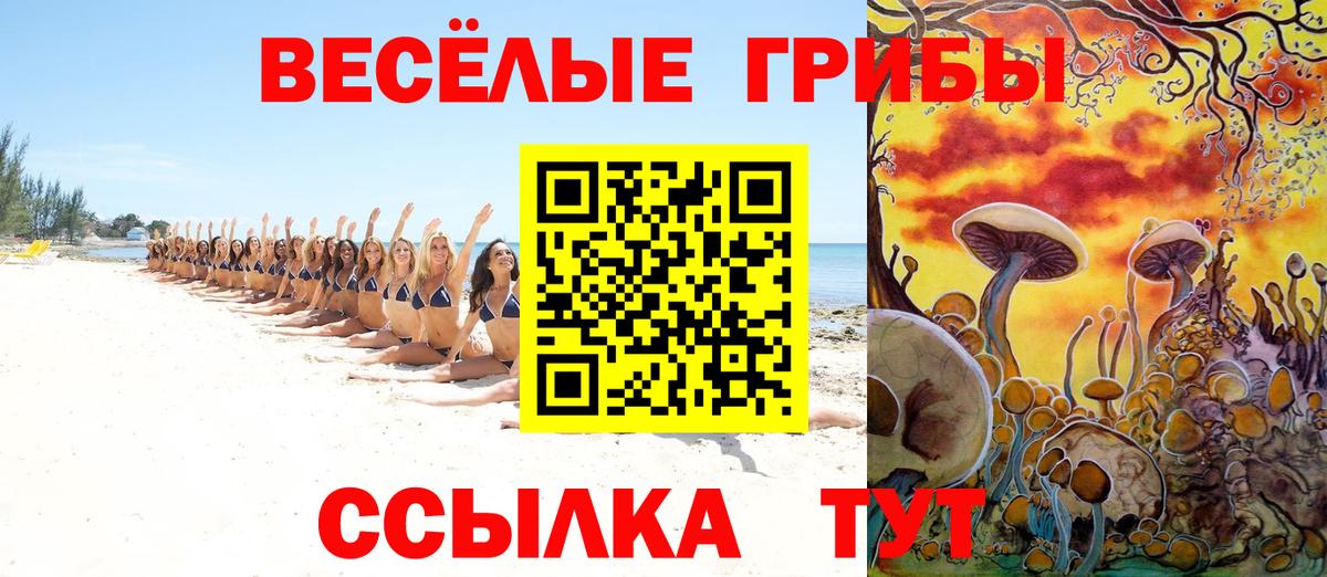 Гудермес  Псилоцибиновые грибы Cubensis  магазин продажи наркотиков  Вход с VPN 