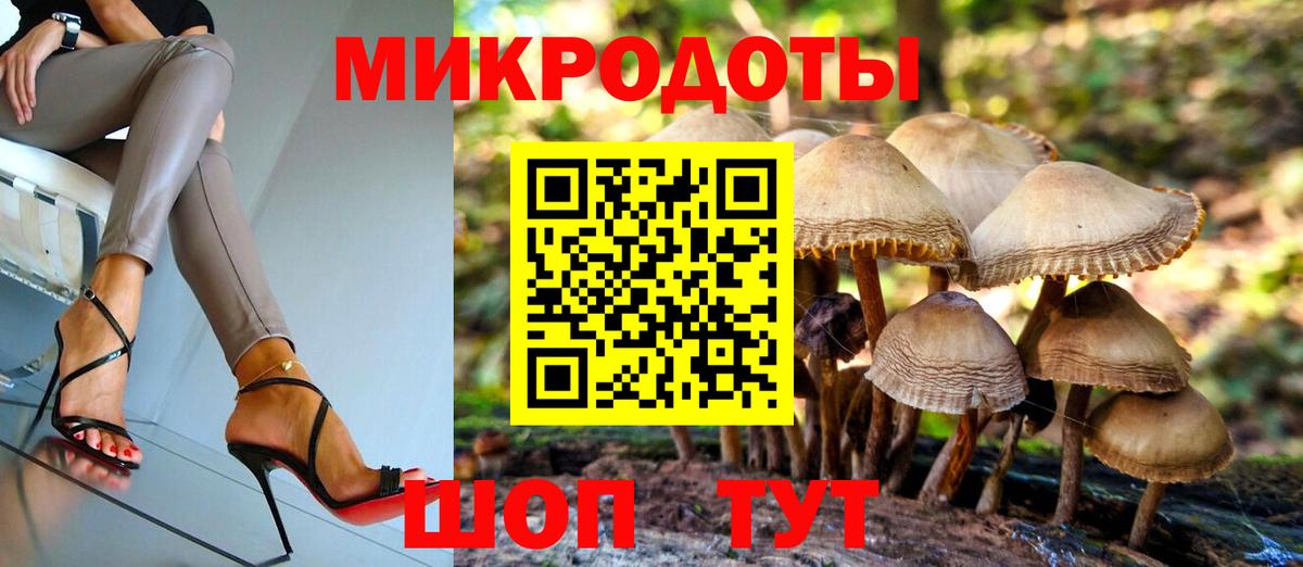 Галлюциногенные грибы Cubensis Гудермес